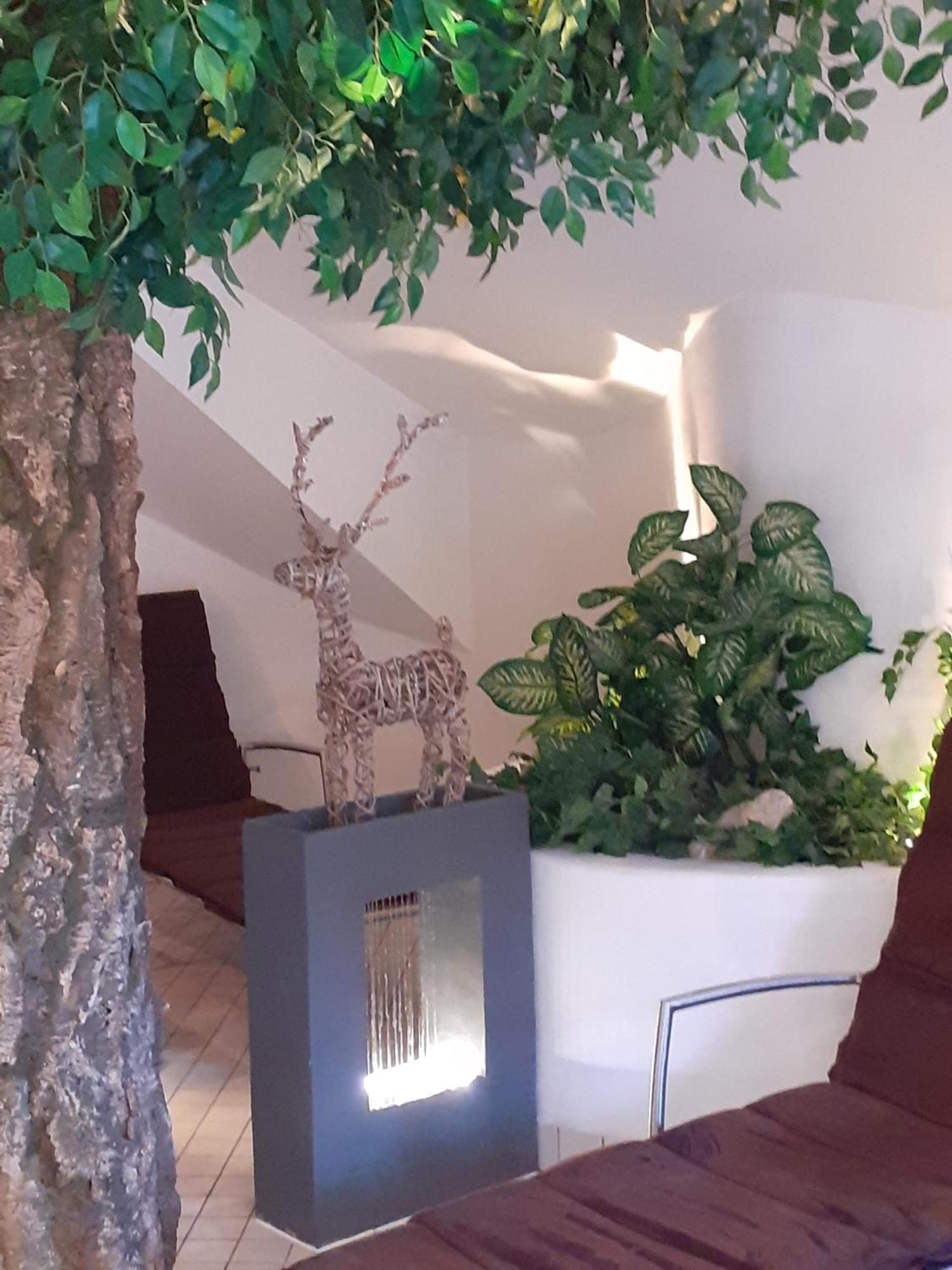 Hotel Neuwirt Mauterndorf  Extérieur photo
